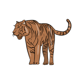 Tiger cartoon clipart