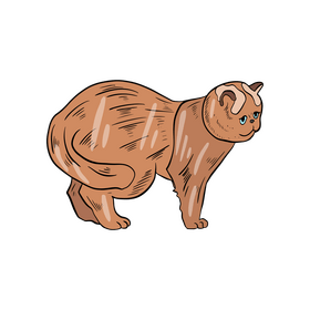 Cartoon cat illustration clipart
