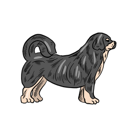 Black car dog drawing clipart