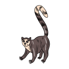 Cute lemur cartoon clipart
