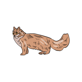 Cat cartoon clipart