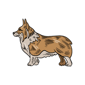 Dog illustration clipart