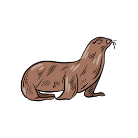 Cartoon seal clipart