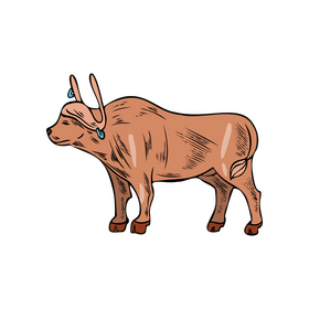 Bull illustration clipart
