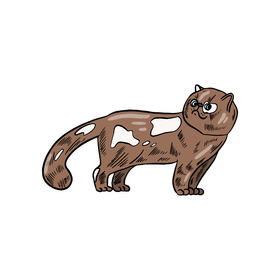 Cat clipart