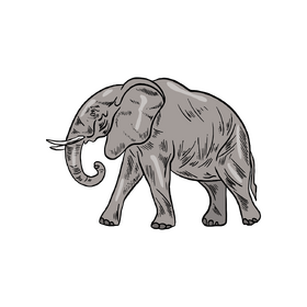 Elephant clipart