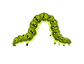 Caterpillar clipart
