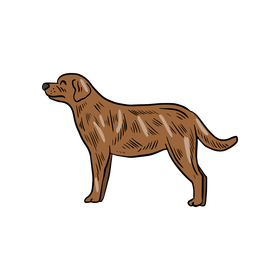Dog clipart