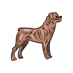 Dog clipart