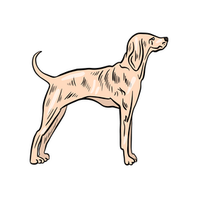 Dog clipart
