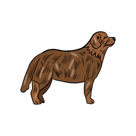 Free dog illustration clipart