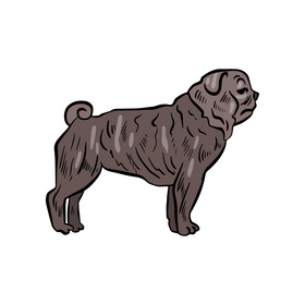 Black dog pet clipart