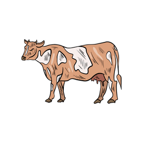 Cow animal drawing clipart