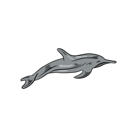 Free dolphin clipart