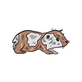 Cute hamster clipart