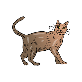 Cute cat animal clipart