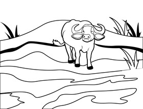 Bufallo black and white vector