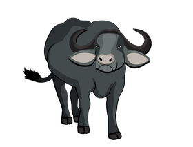 Bufallo clipart