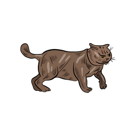 Free cat clipart
