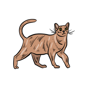 Cat illustration clipart