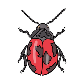 Red beetle clipart