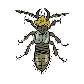 Free Bug clipart