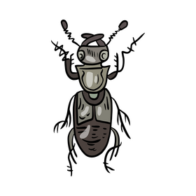Free Bug drawing clipart