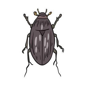 Bug clipart