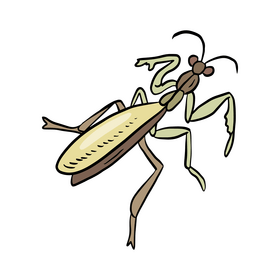 Mantis clipart