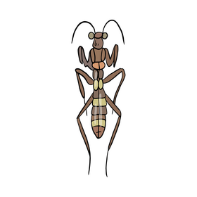 Cartoon mantis clipart