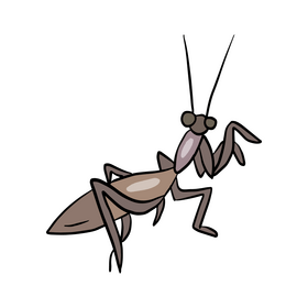 Free mantis drawing clipart