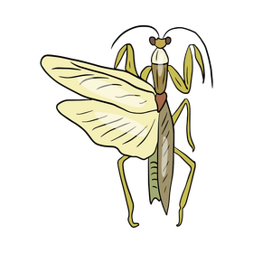 Green mantis clipart