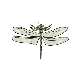 Free dragonfly clipart