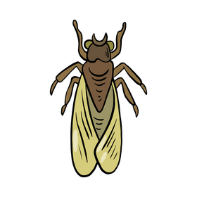 Free moth illustration clipart