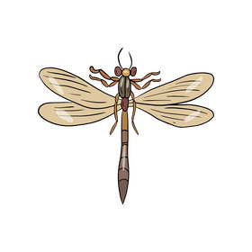 Free dragonfly cartoon clipart