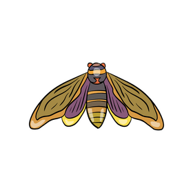 Moth clipart