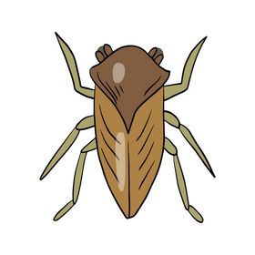 Brown moth drawing clipart