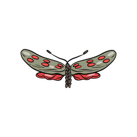 Free moth clipart
