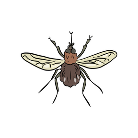 Mosquito clipart