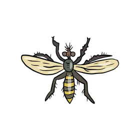 Mosquito clipart