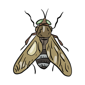 Free mosquito illustration clipart