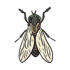 Mosquito drawing clipart