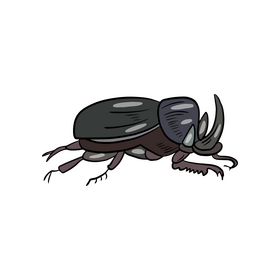 Beetle drawing clipart