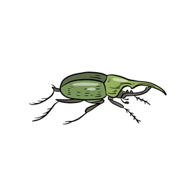 Green beetle illustration clipart