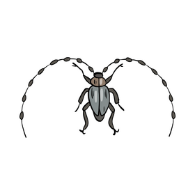 Free beetle drawing clipart