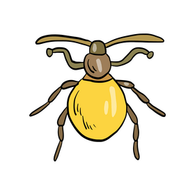 Yellow beetle clipart
