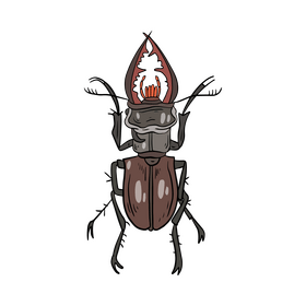 Beetle clipart