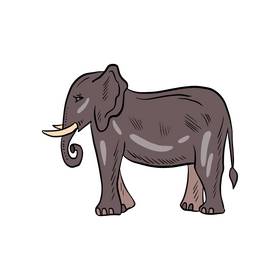 Elephant cartoon clipart