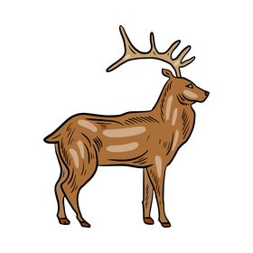 Deer cartoon clipart