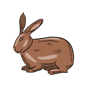 Rabbit animal cartoon clipart